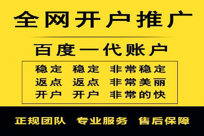 百度竞价广告投放全解析：成功案例揭秘